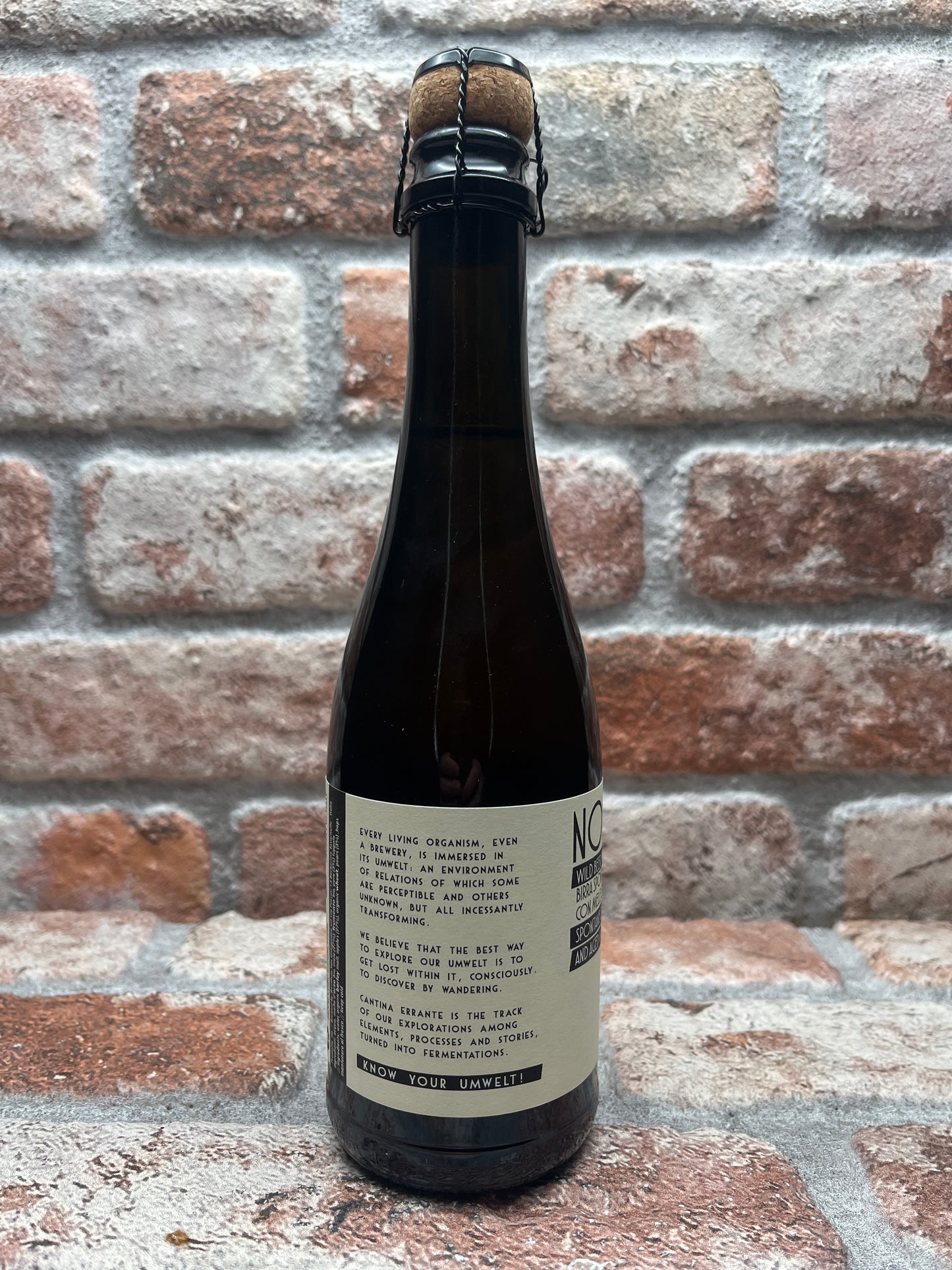 Cantina Errante Nonpedro 2021 Wild Ale - 37.5 CL