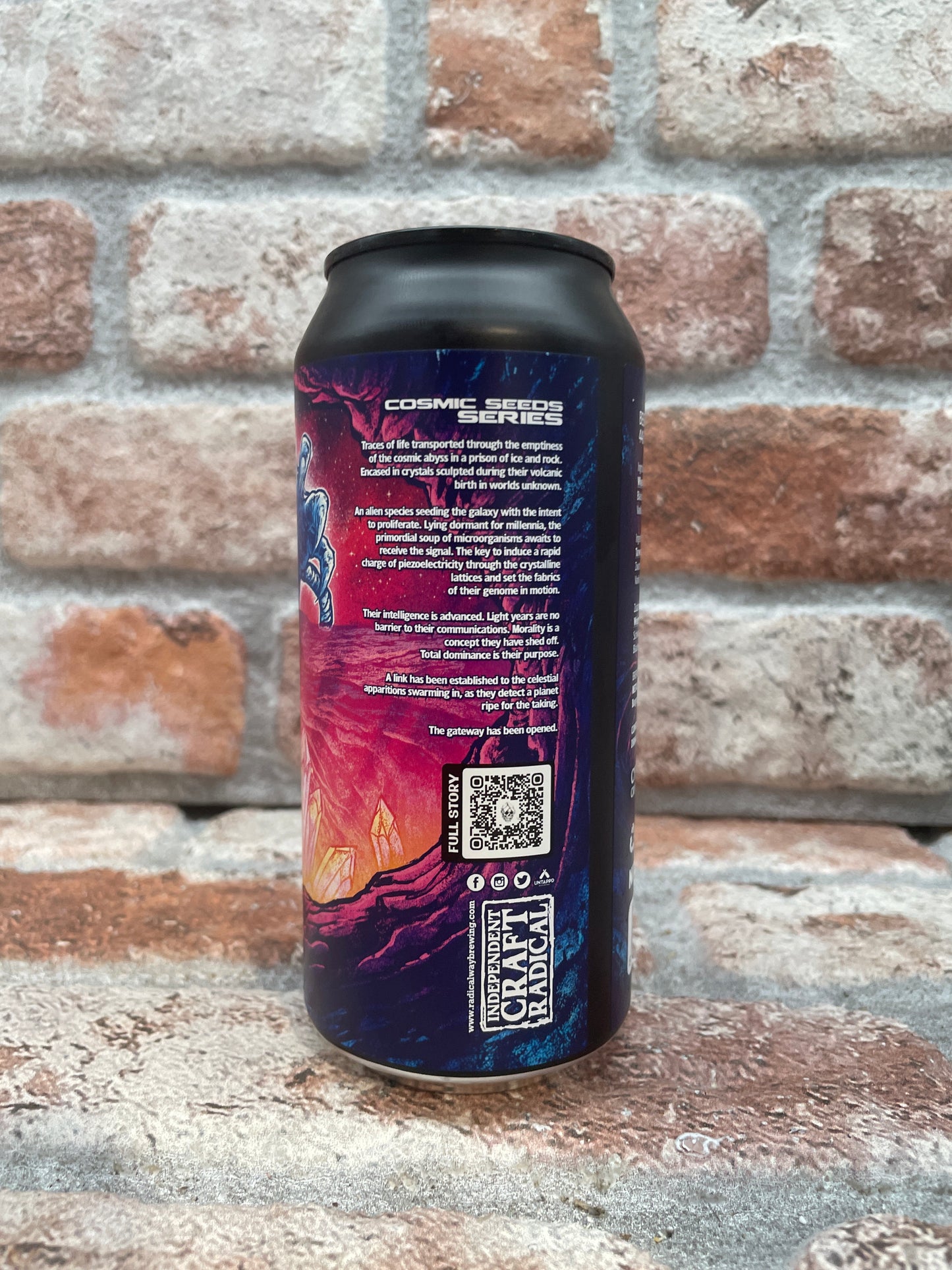 Radical Way Brewing Dormant Sentience Sour - 44 CL