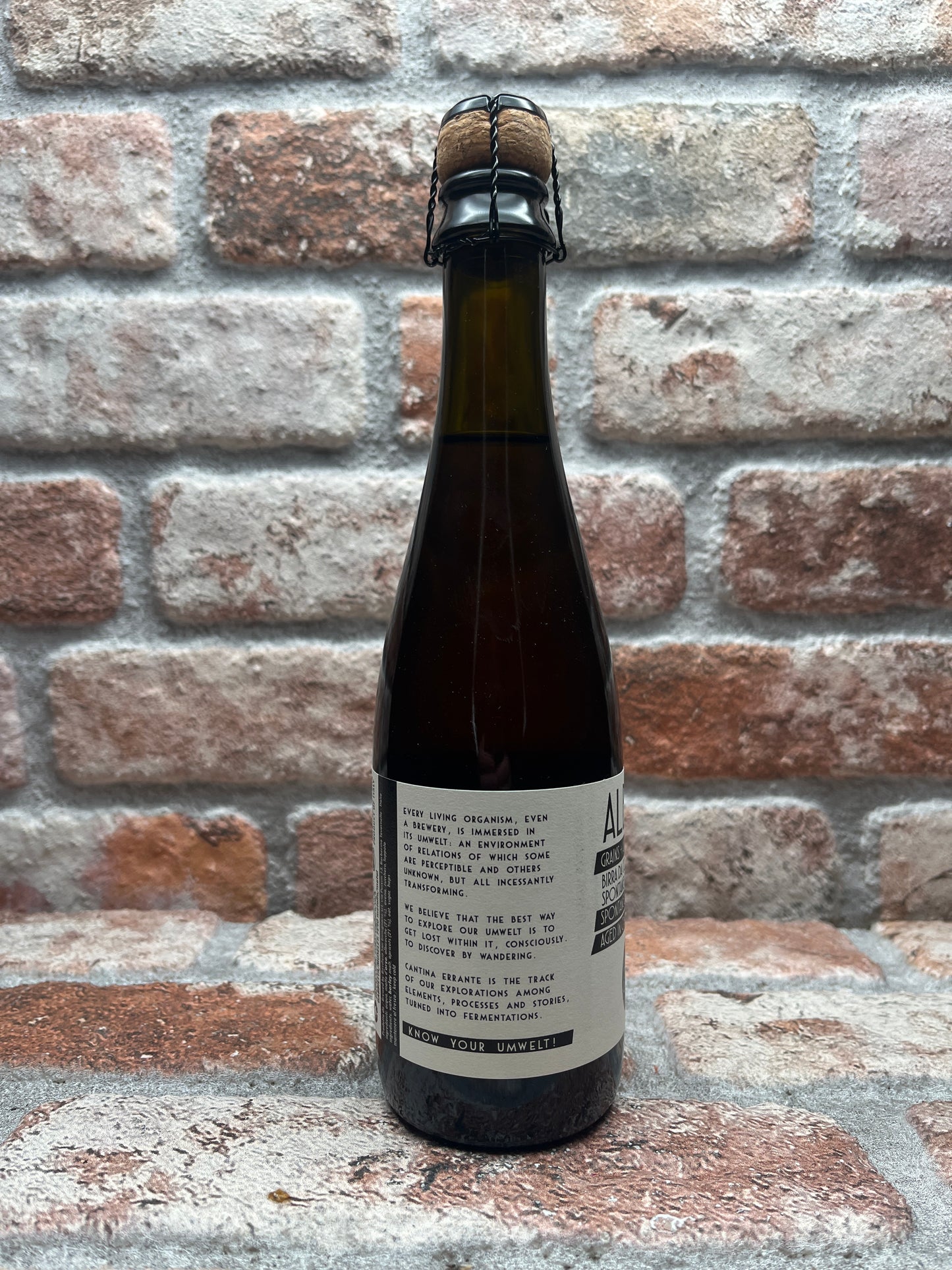 Cantina Errante Alba 2022 Wild Ale - 37.5 CL