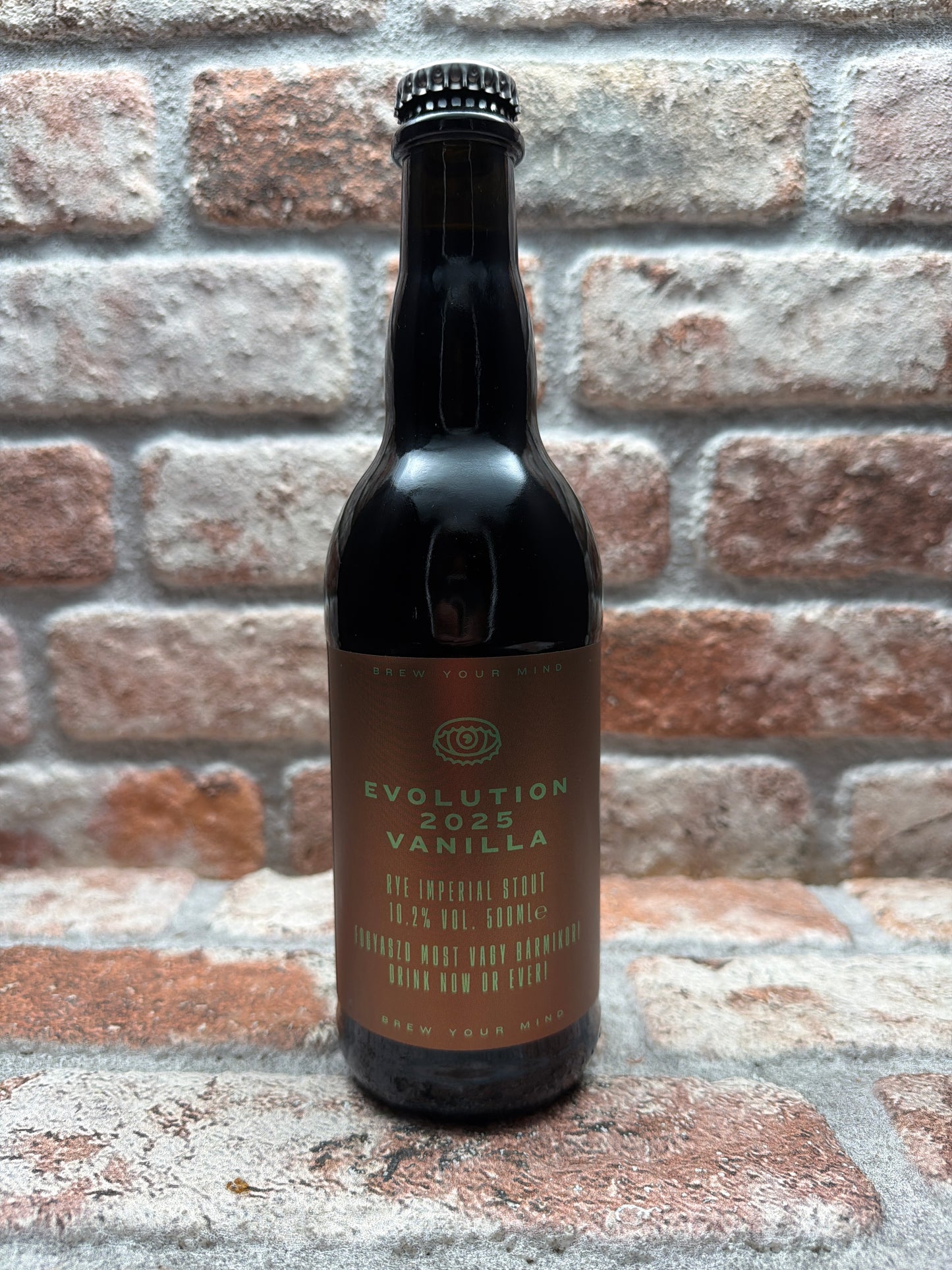 Brew Your Mind Evolution 2025 Vanilla Stout - 50 CL