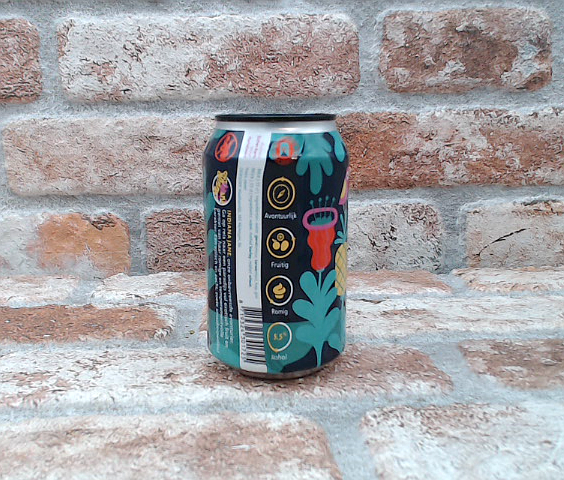 Primordial soup Indiana Jane Juicy IPA - 33 CL