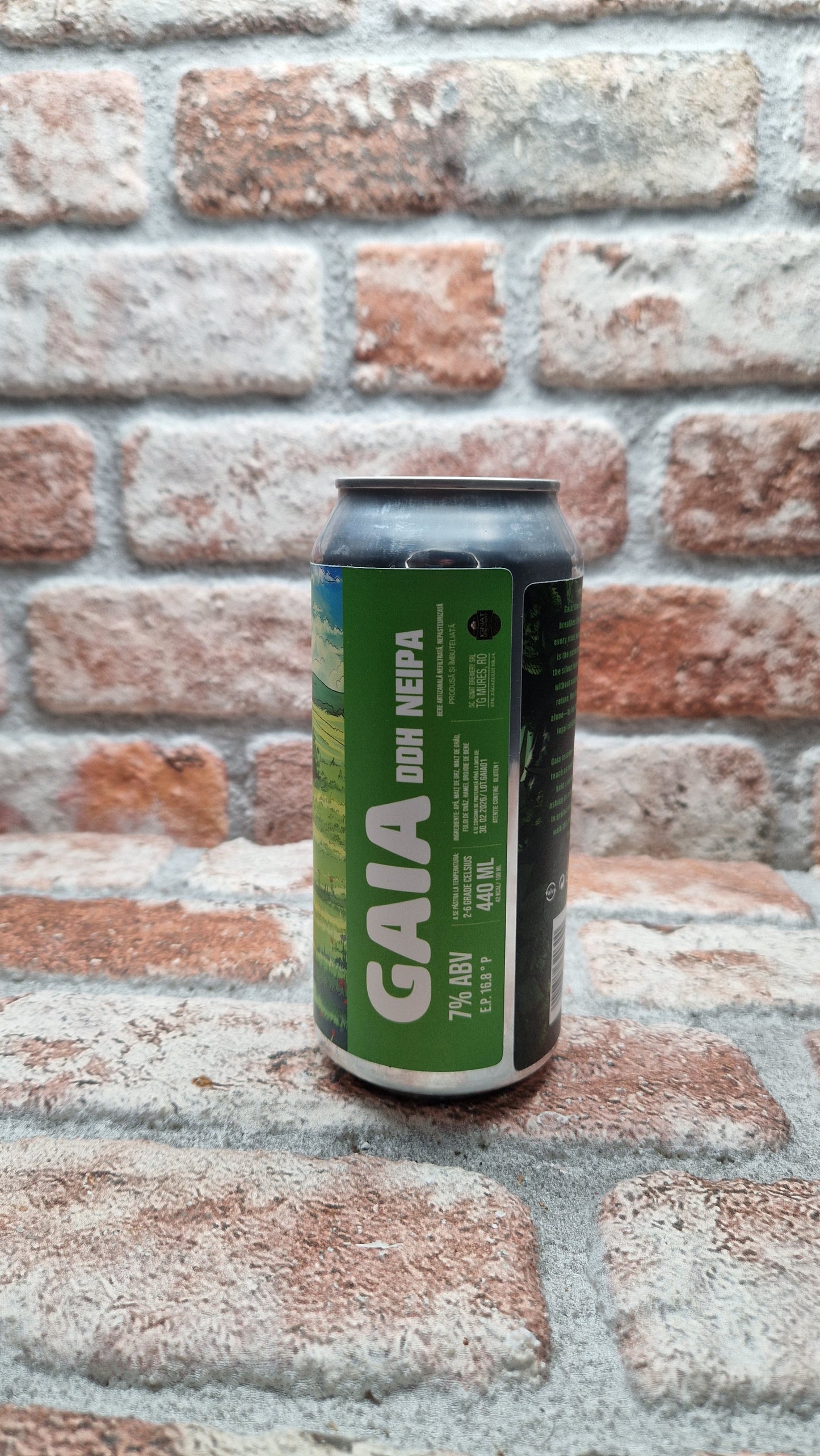 Bere Noah Gaia IPA - 44 CL