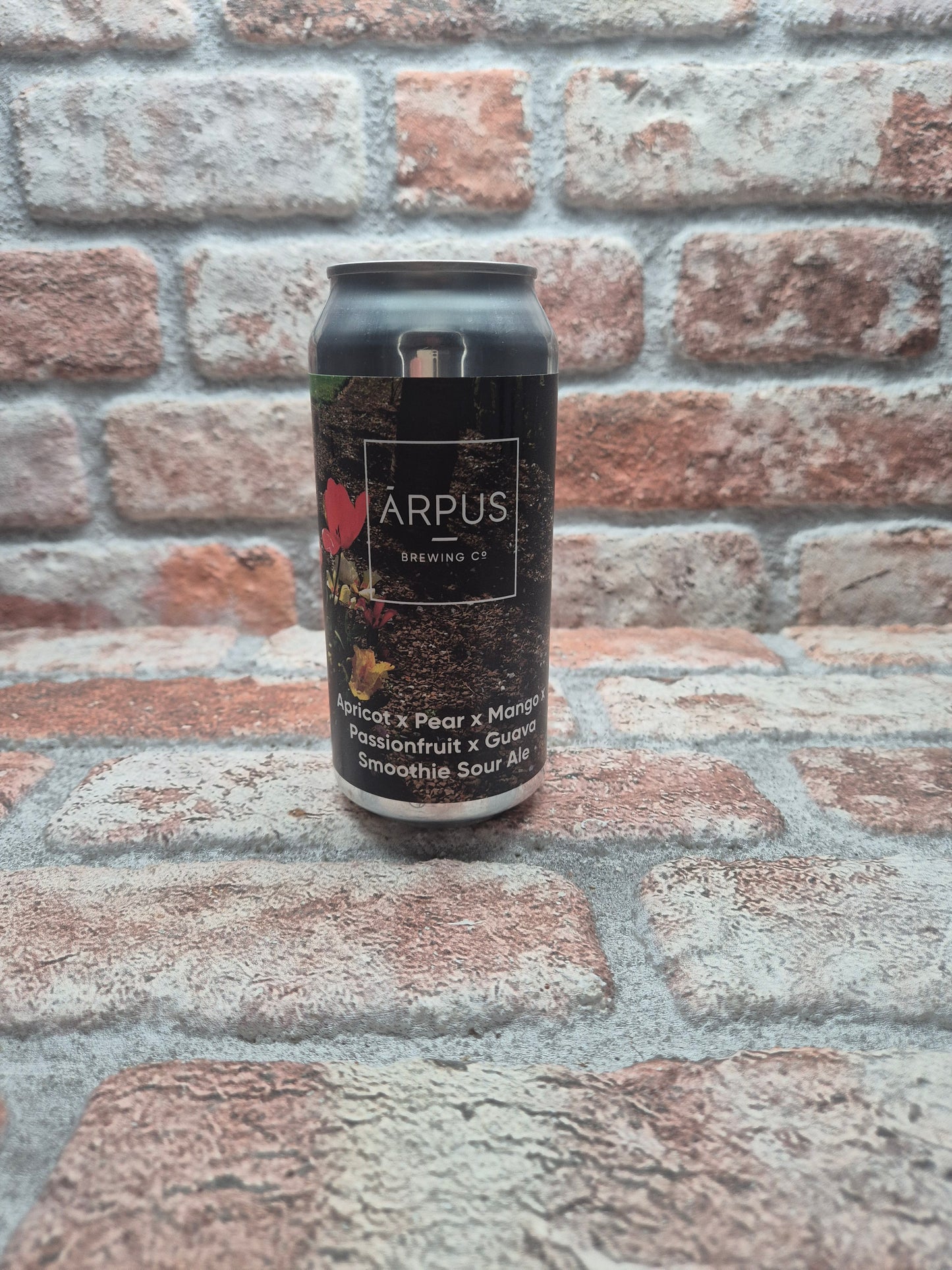 Ārpus Brewing Co. Apricot X Pear X Mango X Passionfruit X Guava Smoothie Sour Ale - 44 CL