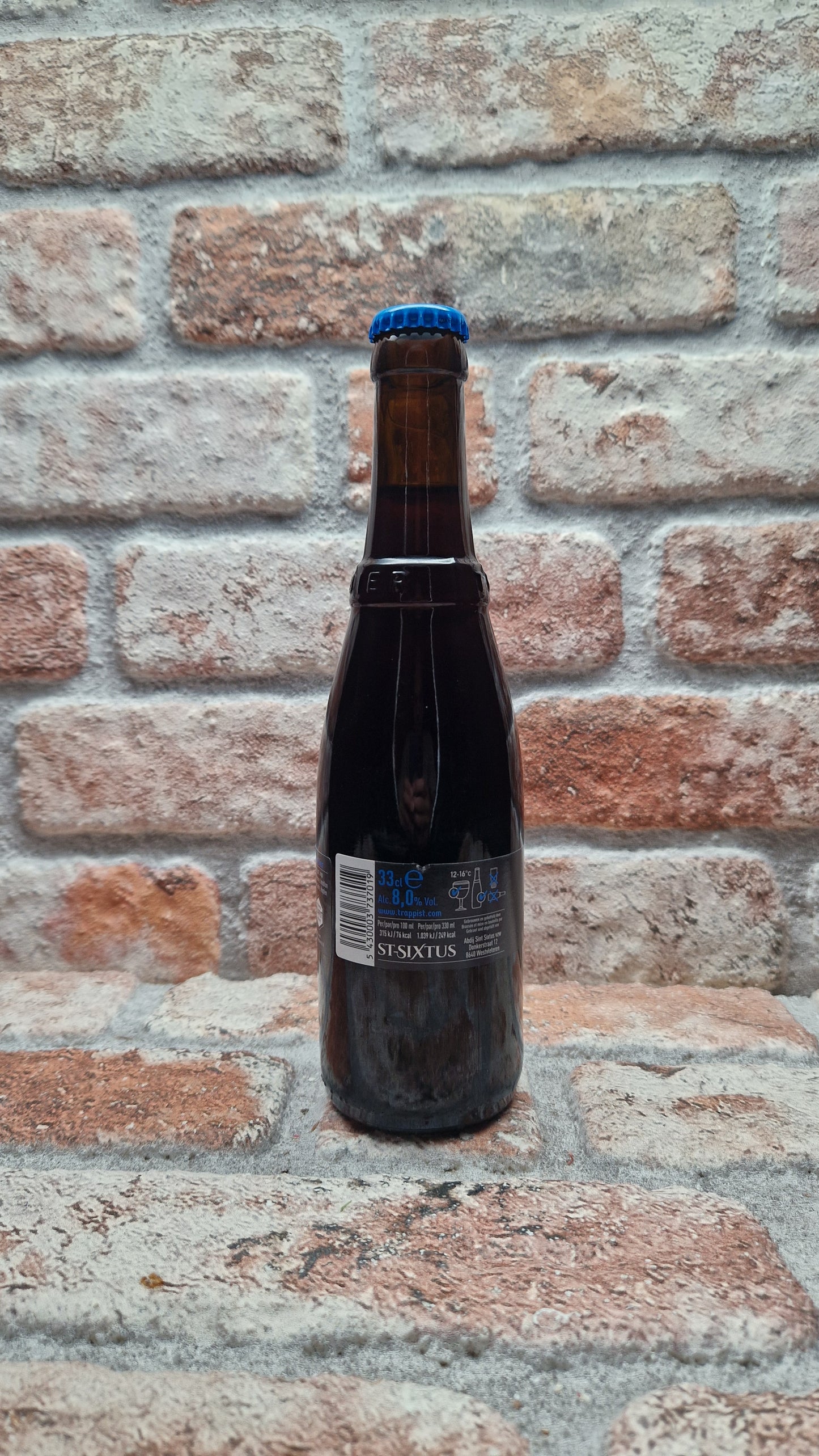 Brouwerij De Sint-Sixtusabdij van Westvleteren Trappist Westvleteren 8 (2026) Dubbel - 33 CL