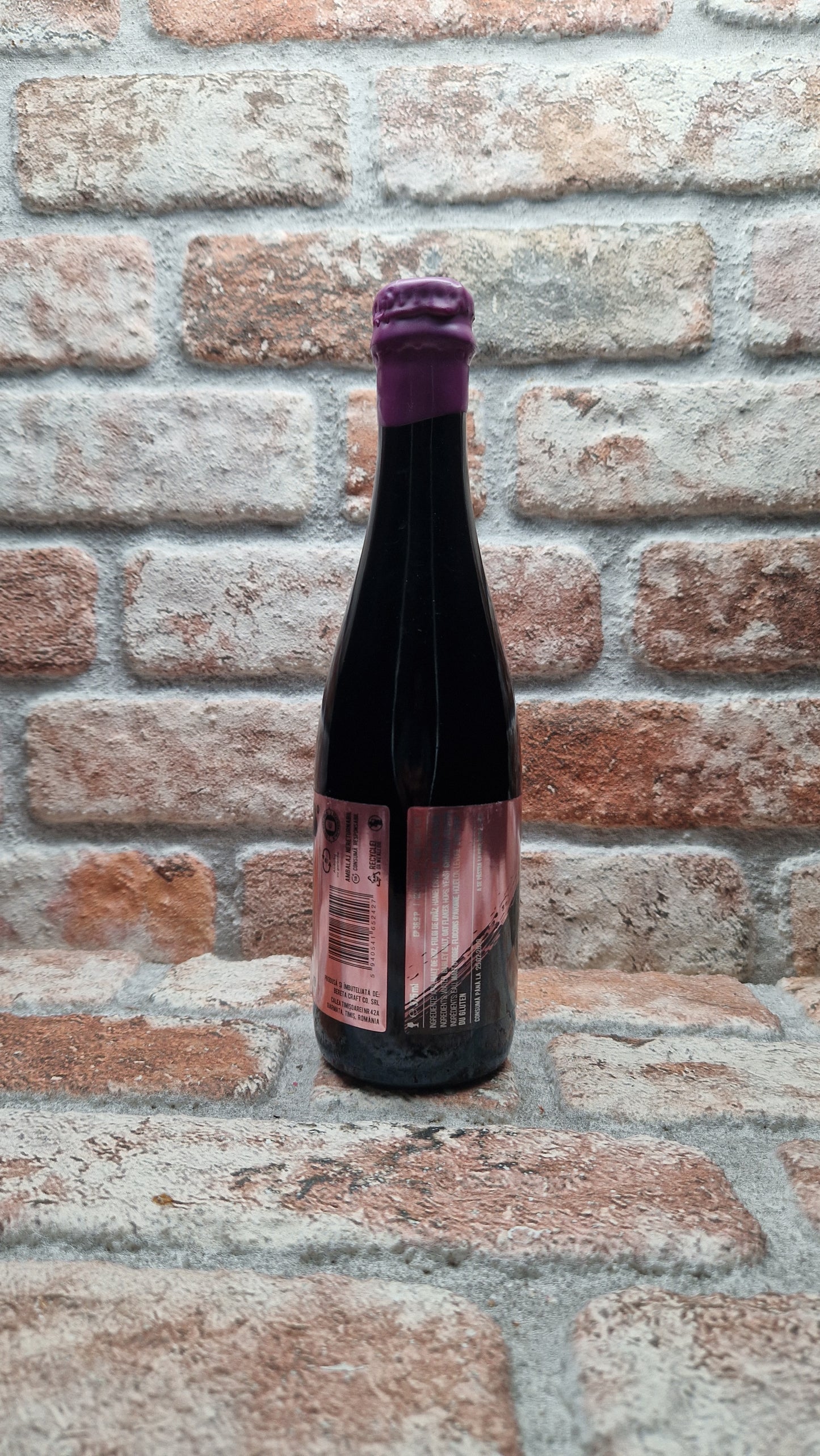 Bereta Brewing Co. Chasm Stout - 37.5 CL