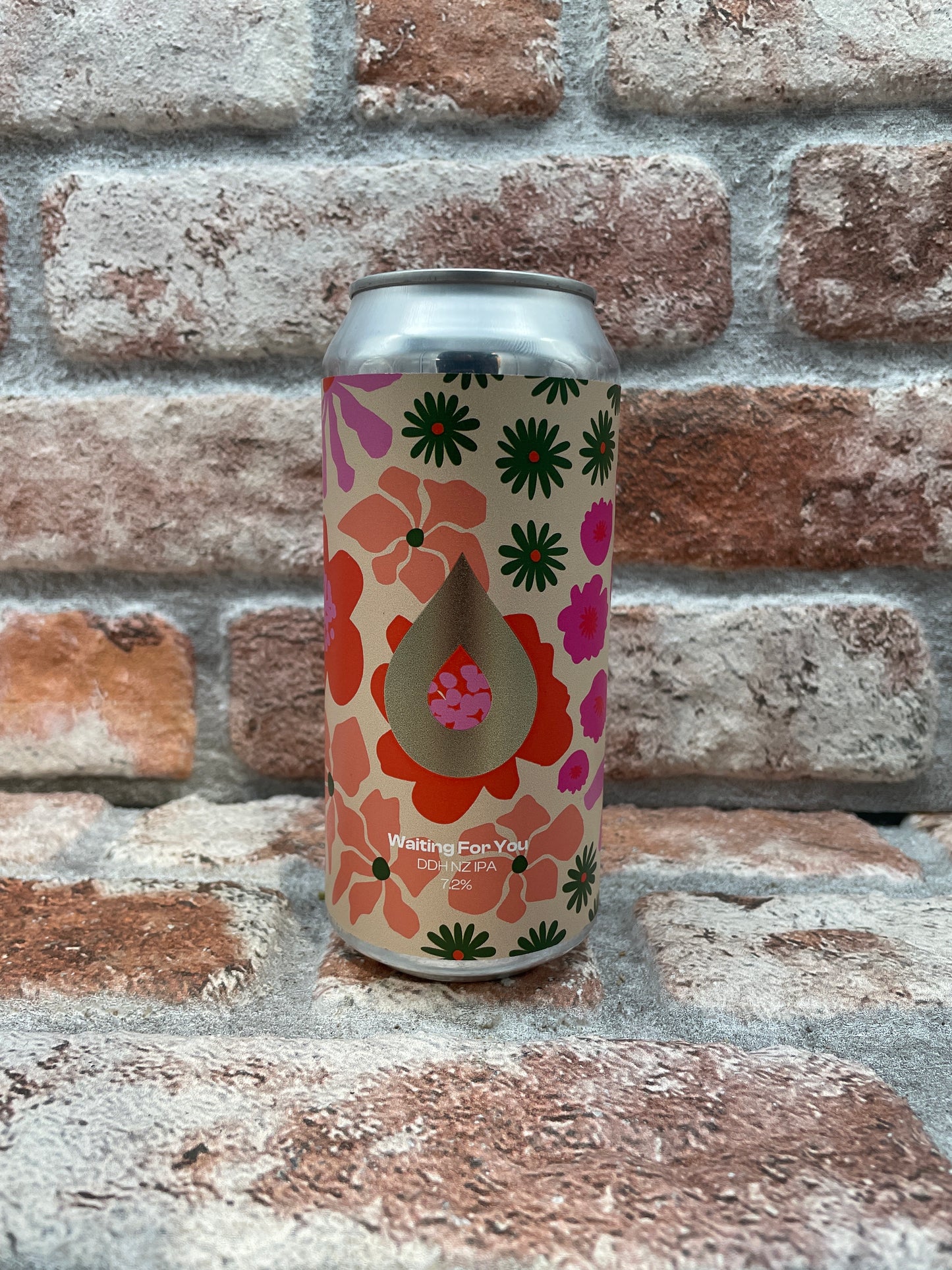 Polly's Waiting For You DDH NZ IPA - 44 CL