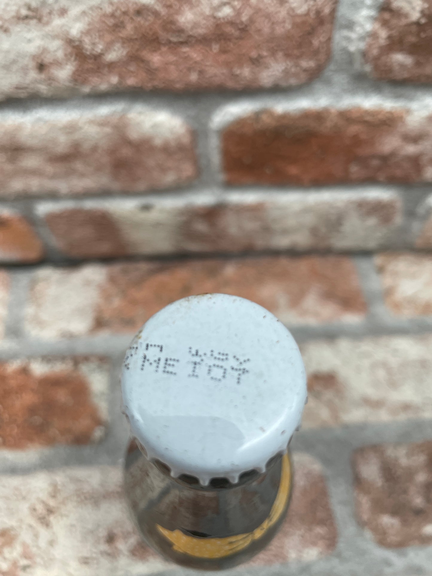 The Dolle Brouwers Arabier strong 2006 Ale - 33 CL