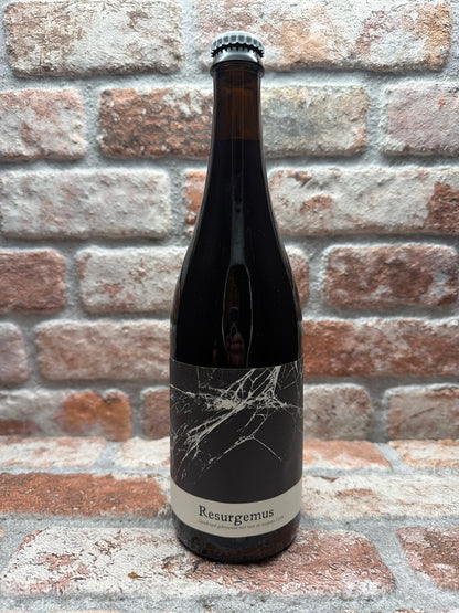 Bliksem Brewery Resurgemus Stout - 75 cl