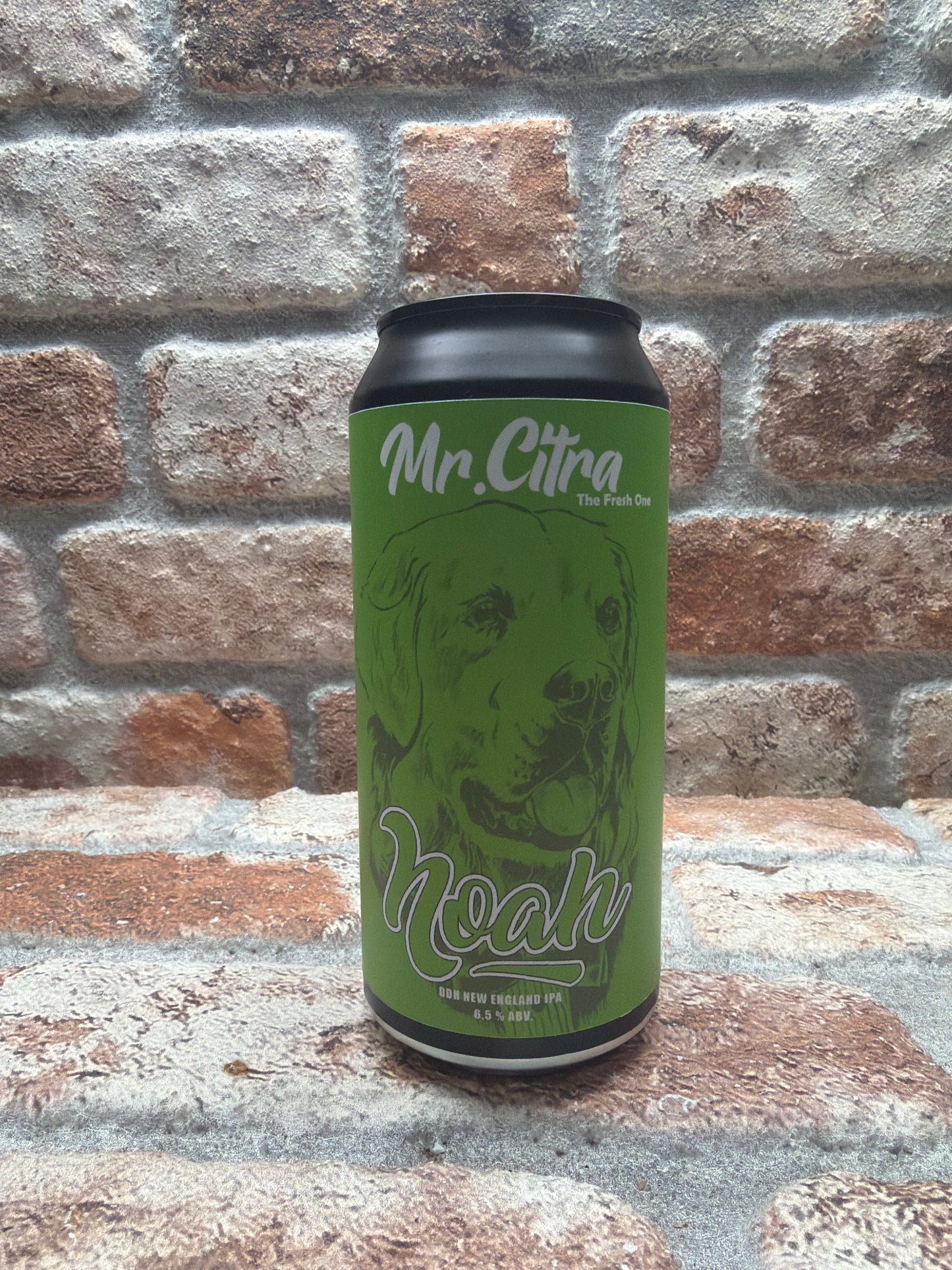 Bere Noah Mr.Citra IPA - 44 CL