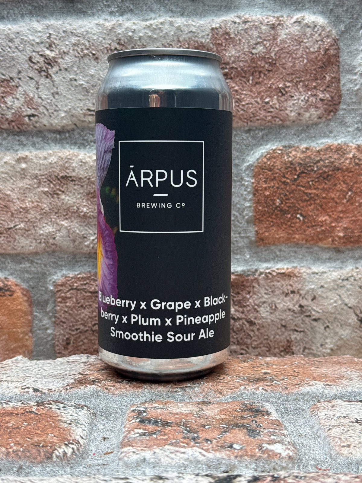 Ārpus Brewing Co. Blueberry X Grape X Blackberry X Plum X Pineapple Smoothie Sour Ale - 44 CL