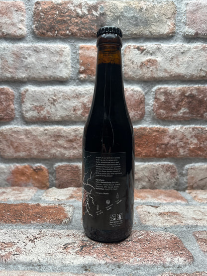 100 Watt Krachtstroom Stout - 33 CL