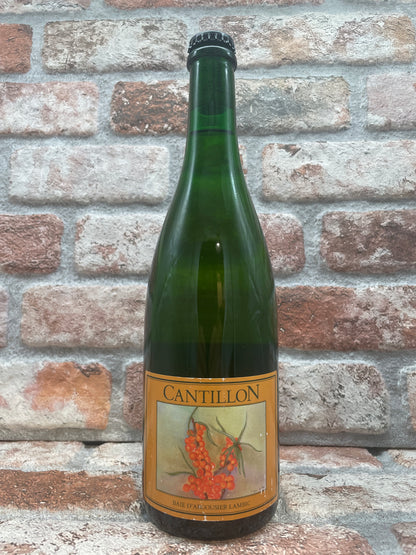 Cantillon Baie D'argousier Lambic 2021 Lambiek/Geuze - 75 CL