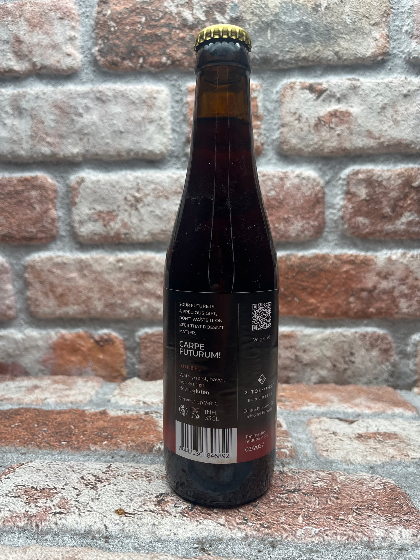 Brouwerij De Toekomst Futurum Dubbel - 33 CL