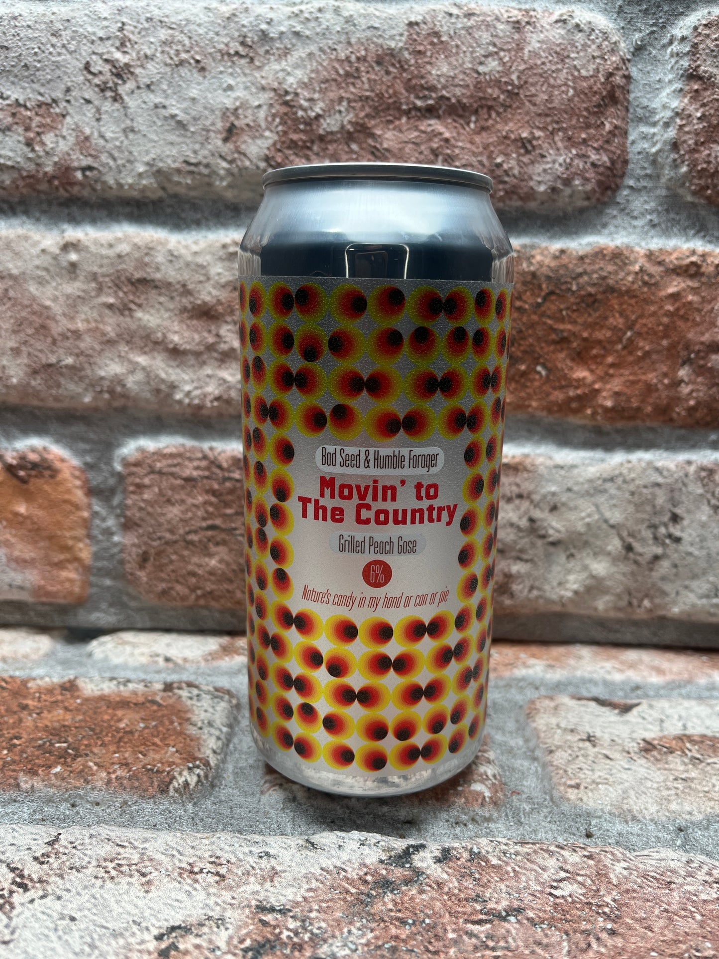 Bad Seed Brewing Movin'To The Country (Can Version) Sour - 44 CL