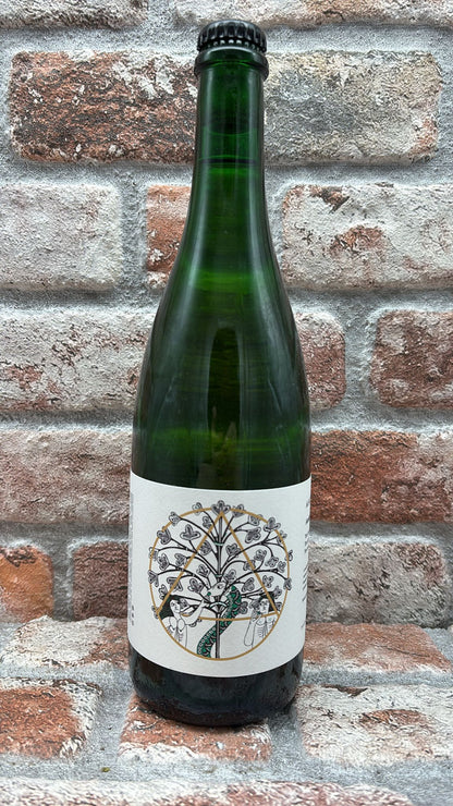 Antidoot Analogia (Chenin) (2022/2023) Cider - 75 CL