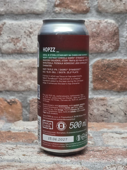 PINTA Hopzz_ Forward IPA - 50 CL