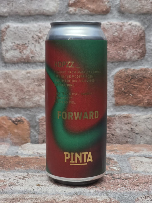 PINTA Hopzz_ Forward IPA - 50 CL