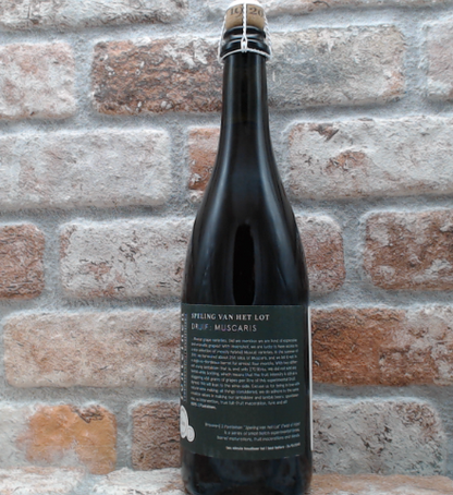 3 Fonteinen Twist of fate X.VII Grape: Muscaris Lambic/Geuze - 75 CL