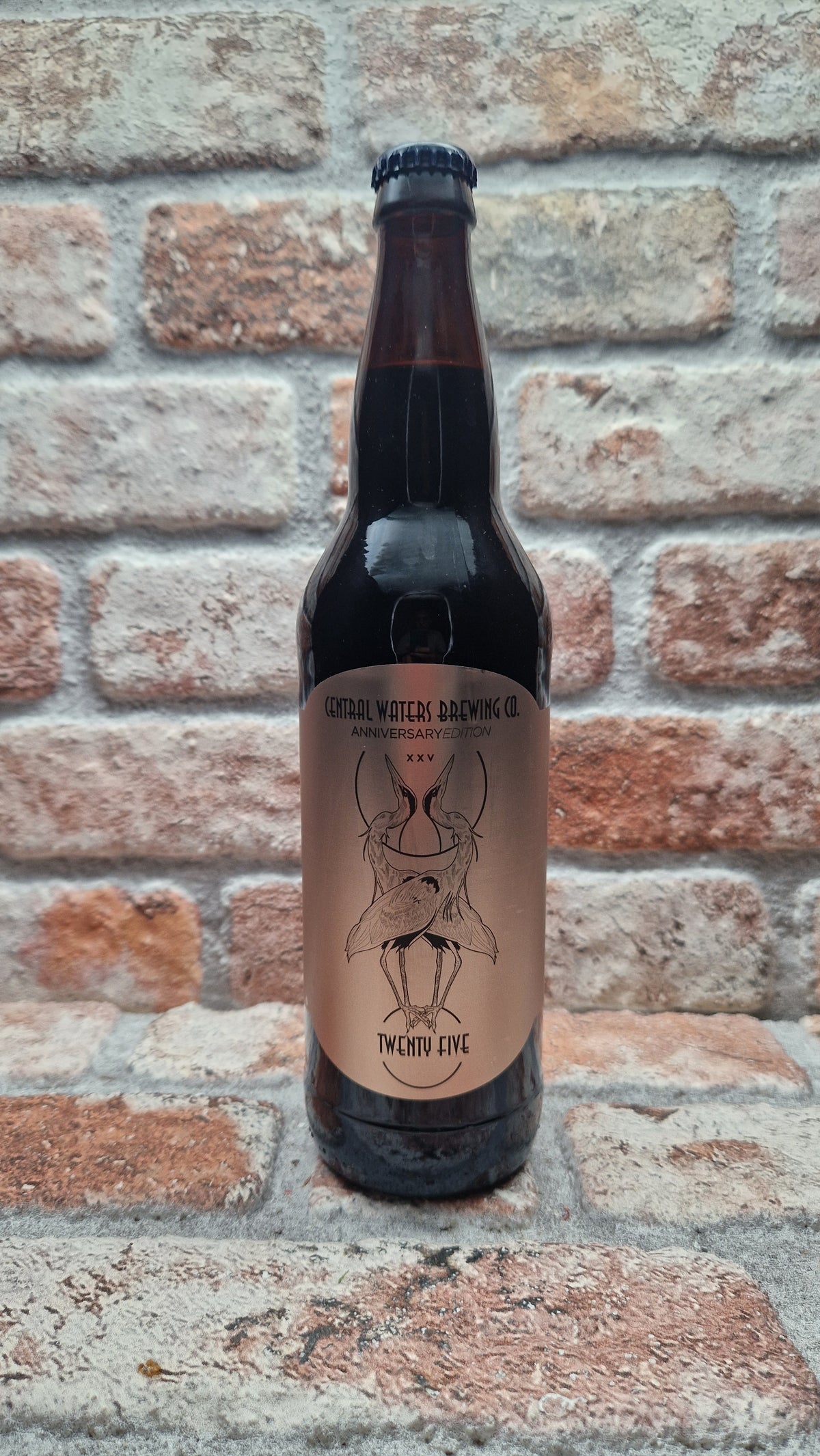 Central Waters Brewing Company 25th Anniversary Series: 18 Year Elijah Craig Barrel Champagne Label Stout - 75 CL