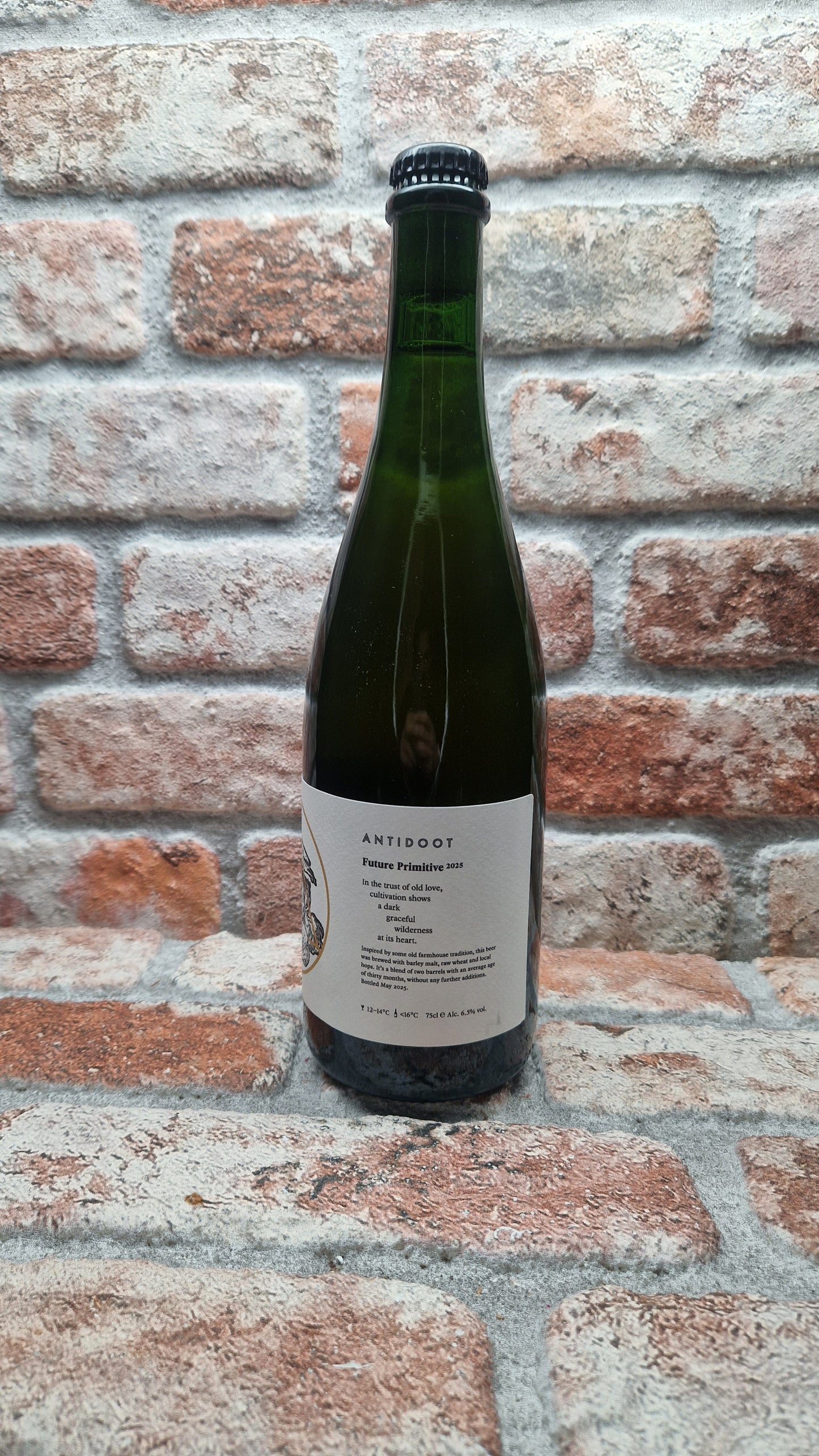 Antidoot Future Primitive 2025 Ale - 75 CL