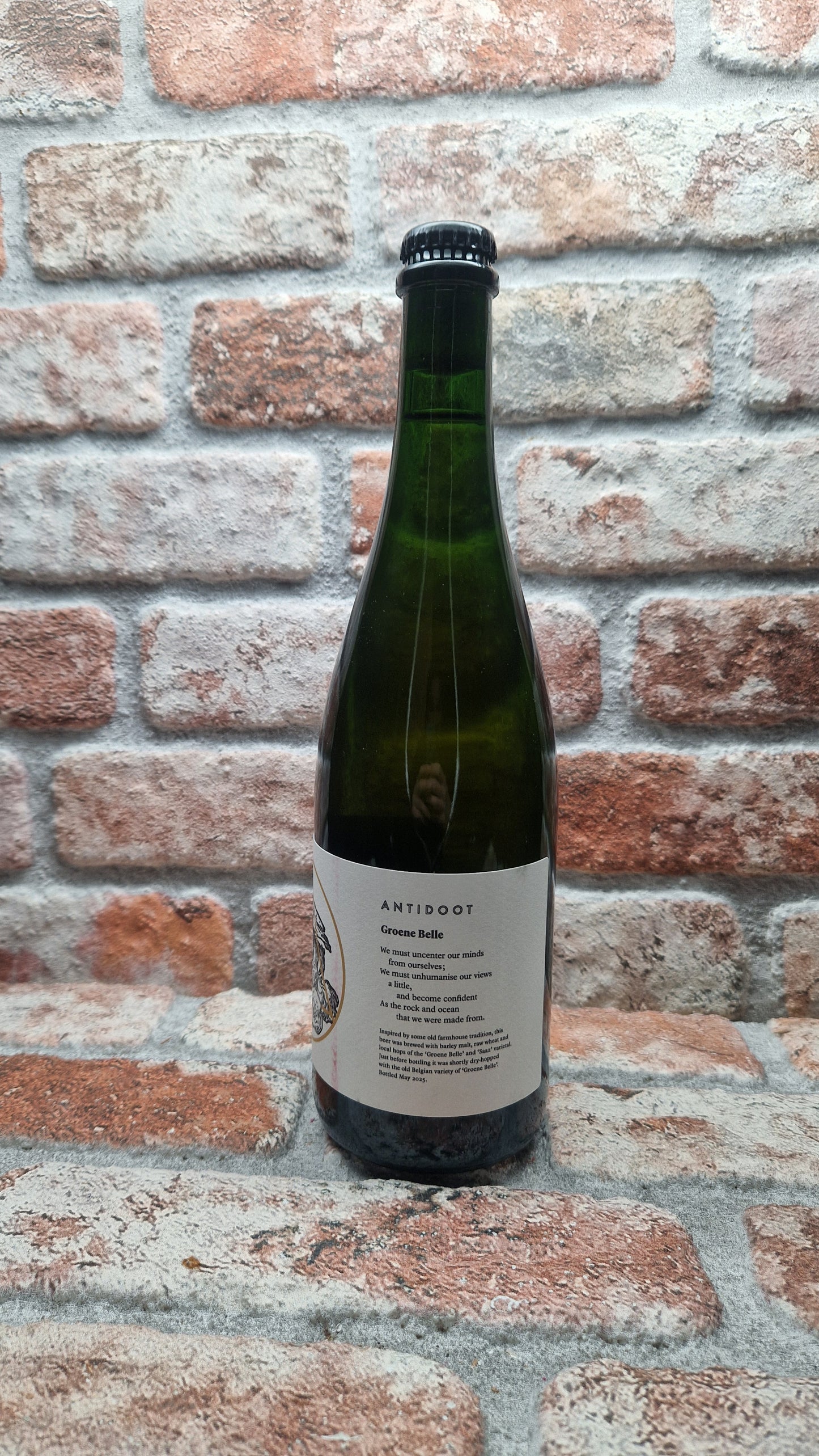 Antidoot Groene Belle Ale - 75 CL