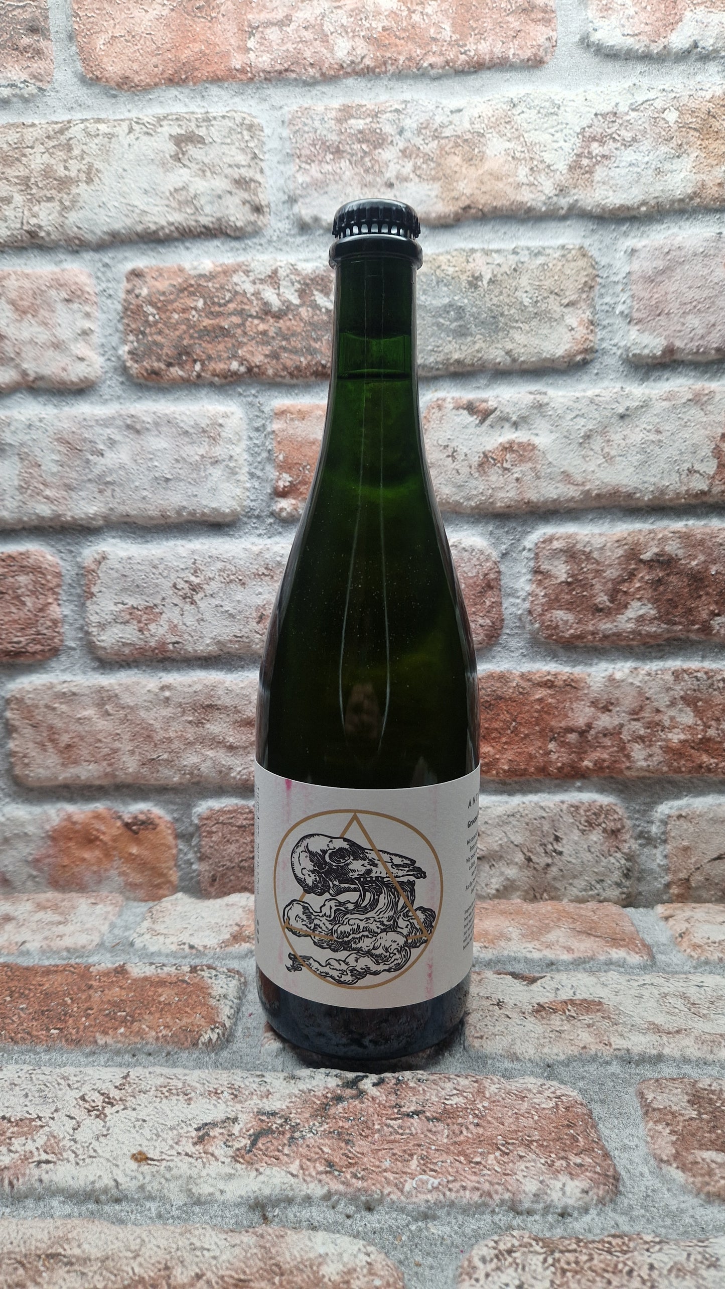 Antidoot Groene Belle Ale - 75 CL