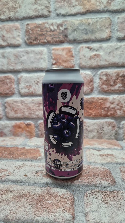 Brouwerij Lost BLUEBERRY FLUFF Sour - 50 CL
