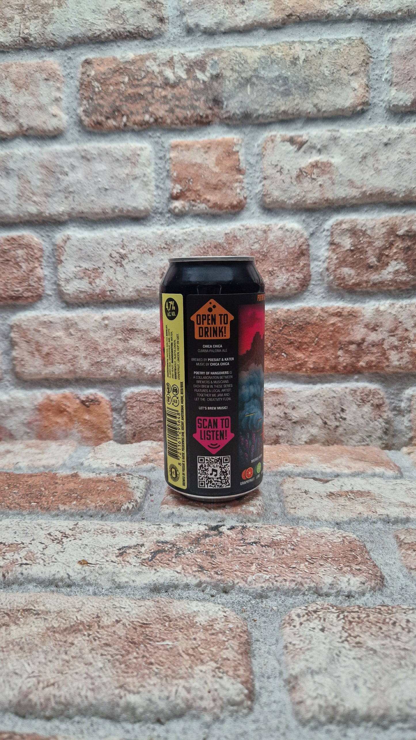 Brouwerij Poesiat & Kater Poetry of Hangovers: Chica Chica Ale - 44 CL
