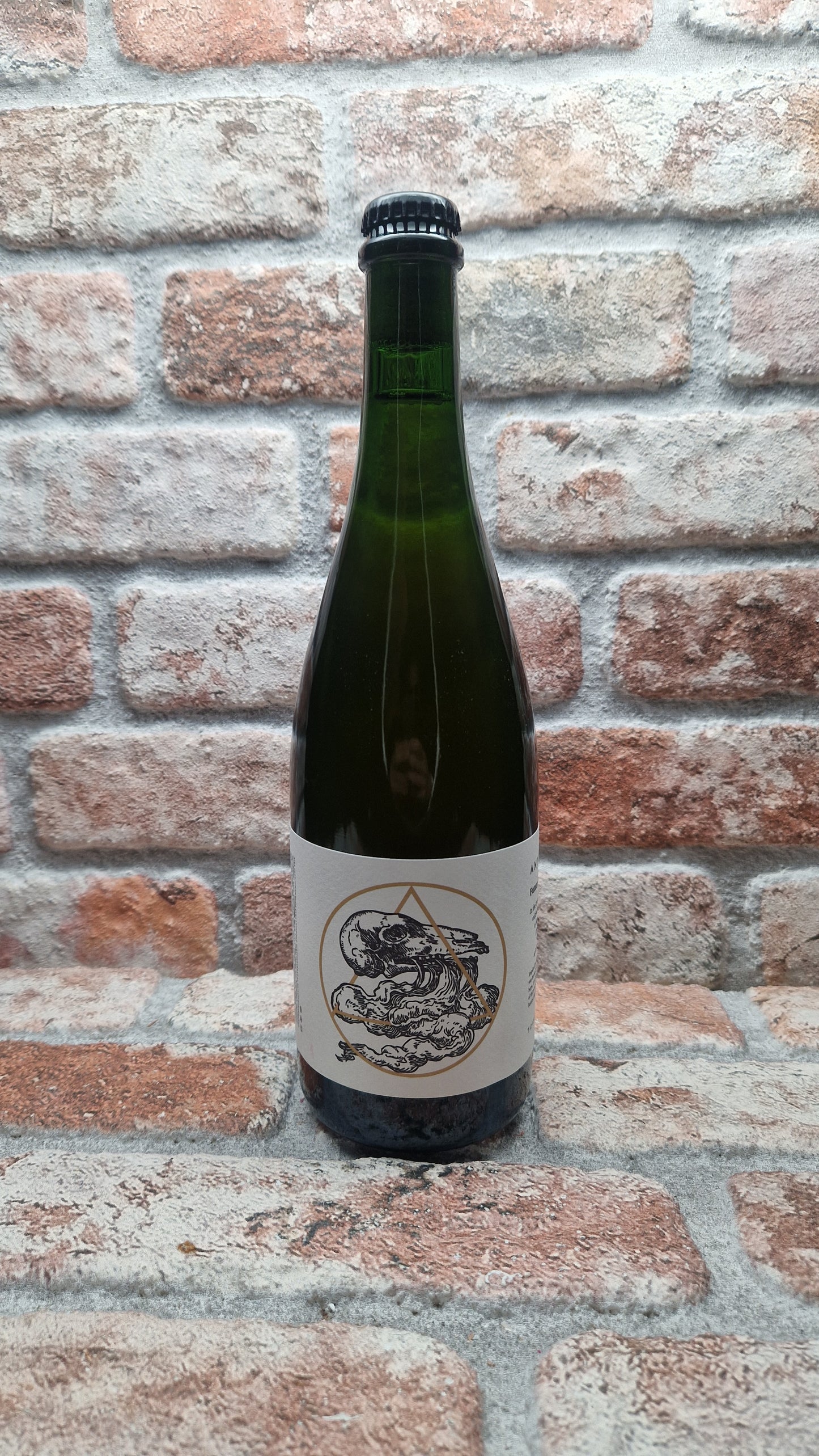 Antidoot Future Primitive 2025 Ale - 75 CL