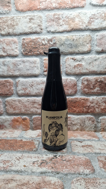 Phase Three Brewing Planifolia (2025) Stout - 50 CL
