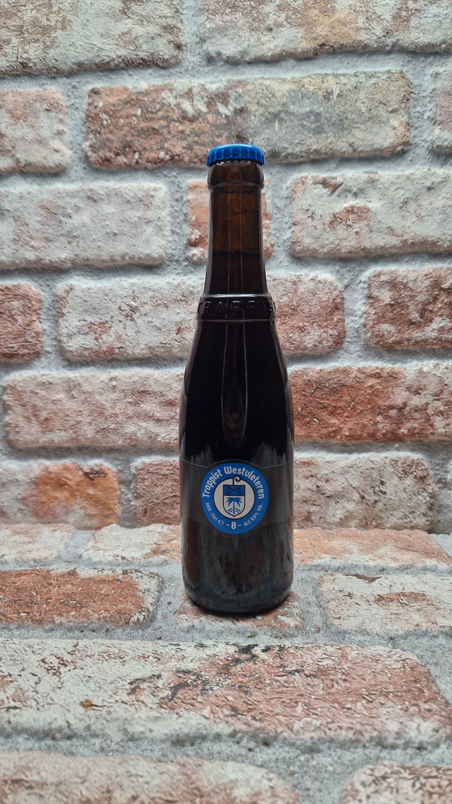 Brouwerij De Sint-Sixtusabdij van Westvleteren Trappist Westvleteren 8 (2026) Dubbel - 33 CL