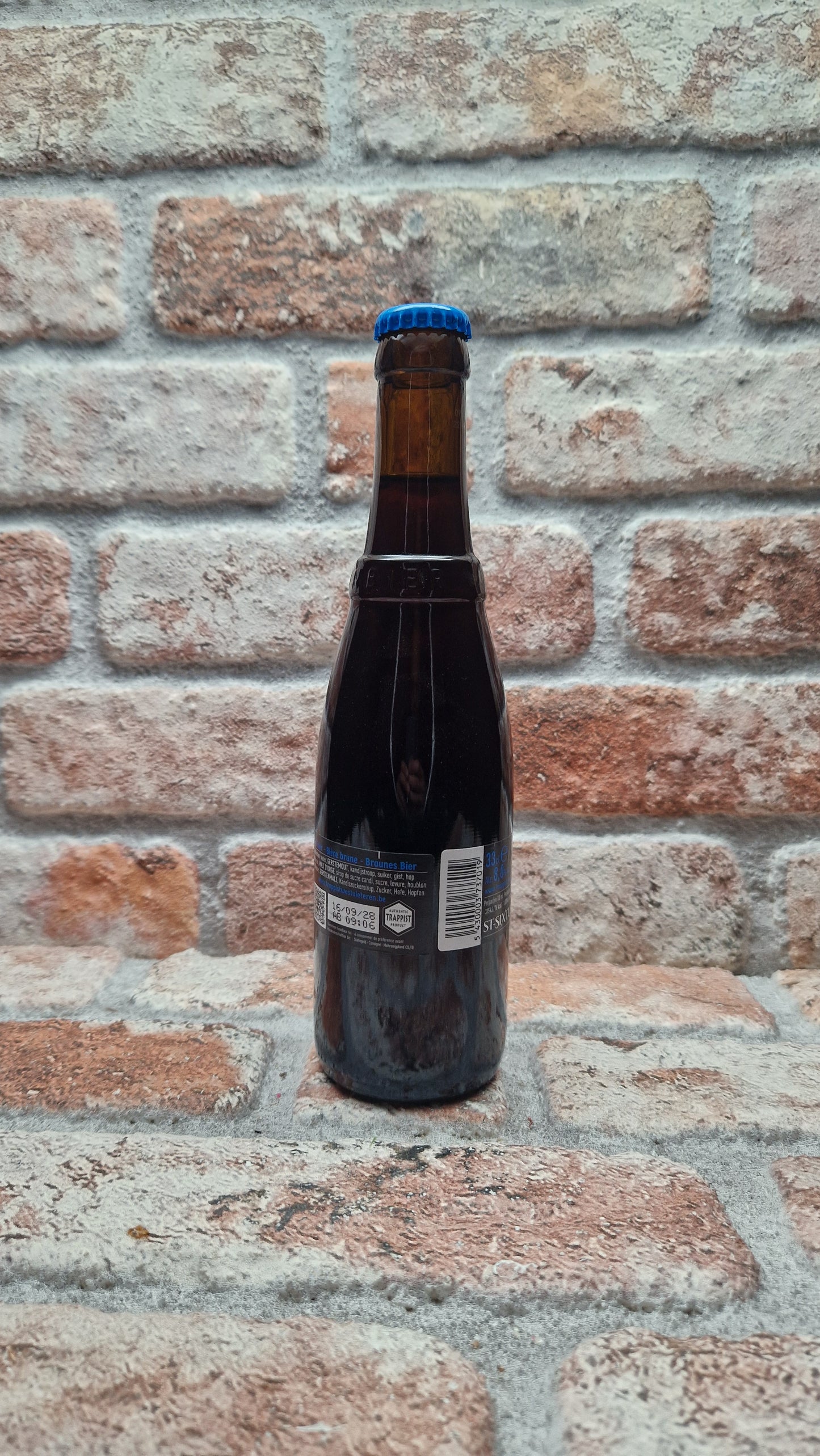 Brouwerij De Sint-Sixtusabdij van Westvleteren Trappist Westvleteren 8 (2025) Dubbel - 33 CL